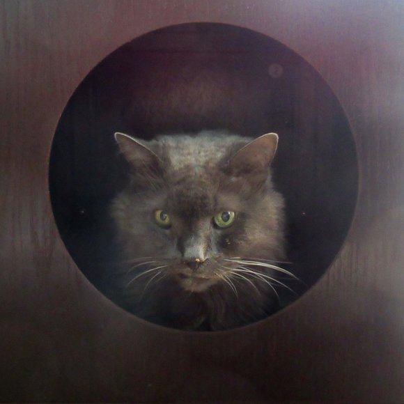 Reasonable Offers Welcome. - Picture 3 of 6